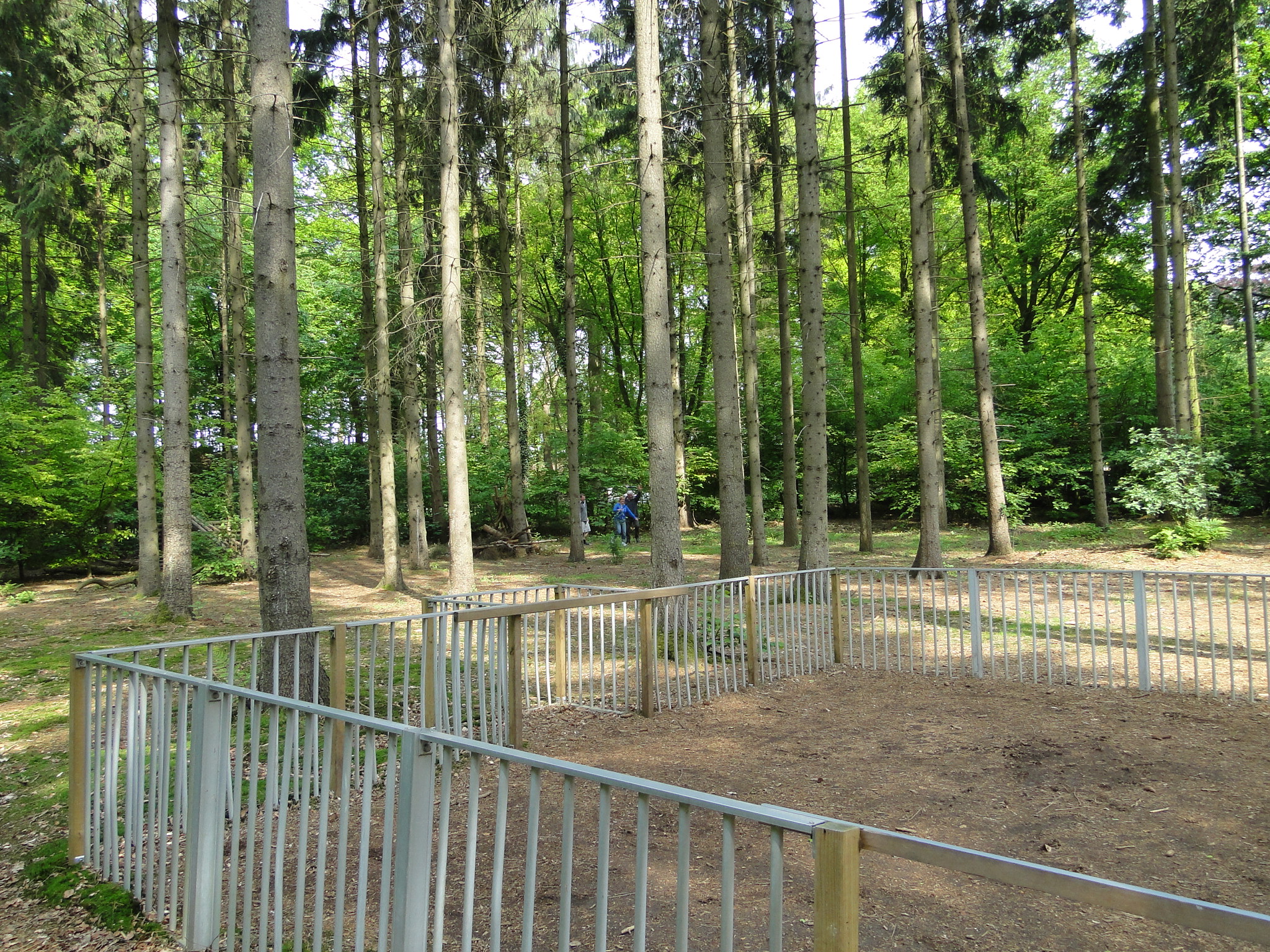 HWK 2012 104.jpg